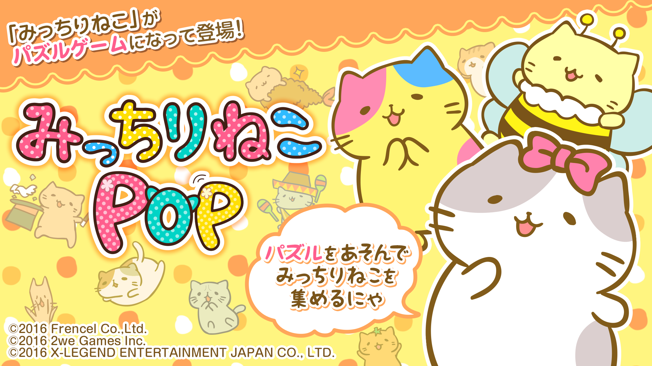 Скриншот игры みっちりねこPOP　-脱力系コレクションパズル-