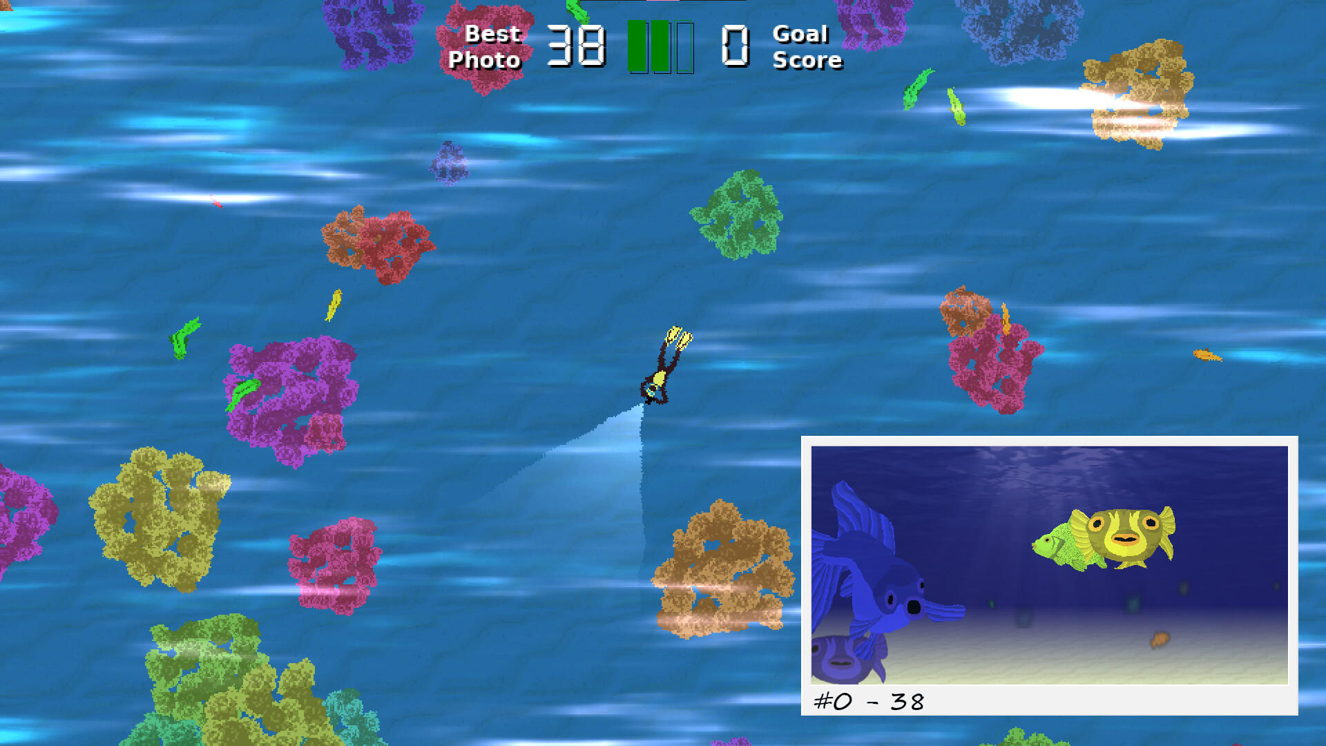 Piscirazzi: Fish Photo Shooter 게임 스크린 샷