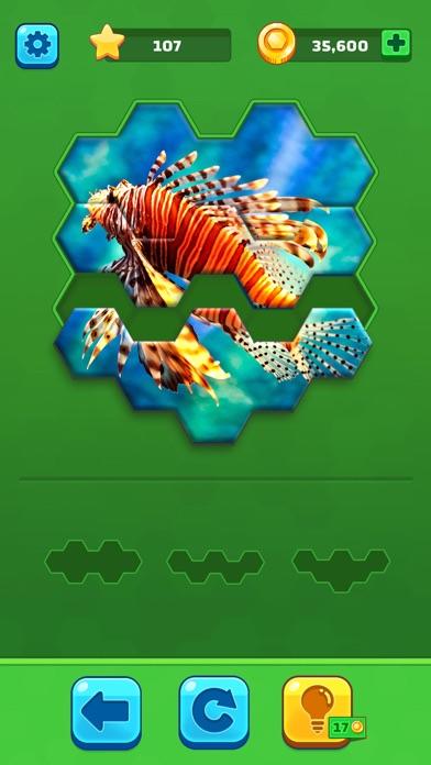 Hexa Jigsaw Puzzle ® Game Screenshot