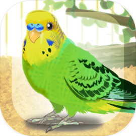 Parakeet Pet