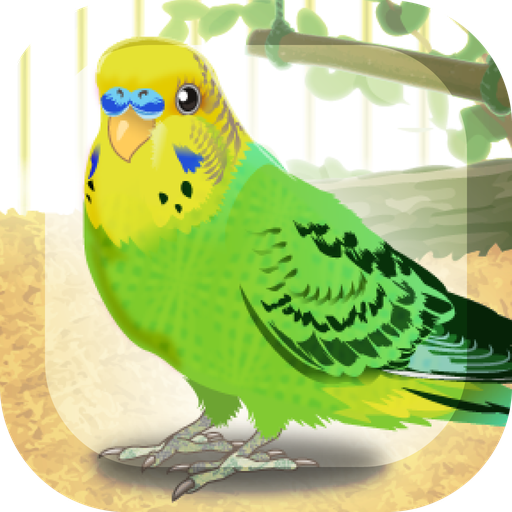 Parakeet Pet Latest Version for Android/iOS APK - TapTap