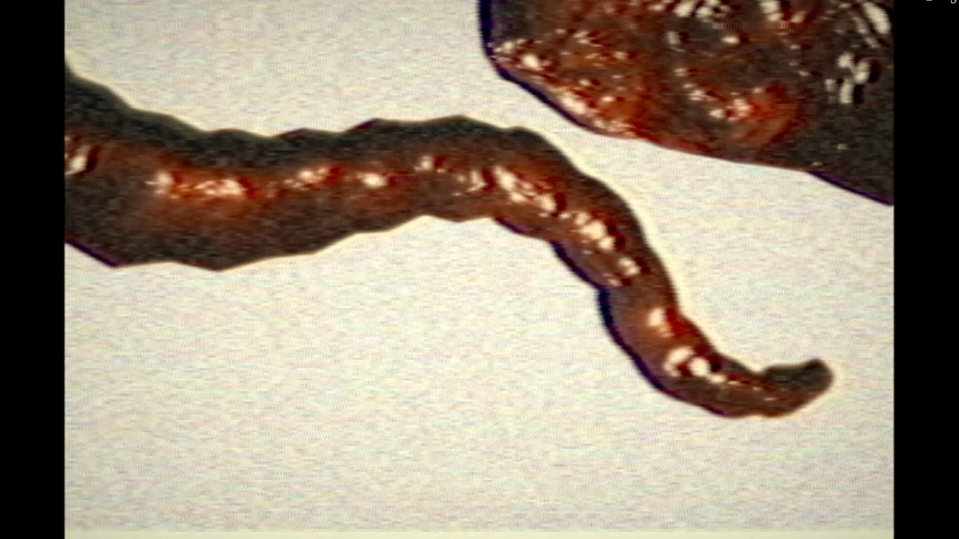 Screenshot of Pyramid Curse