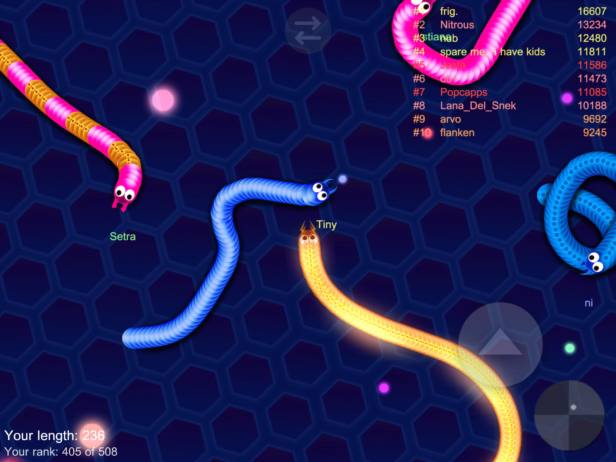 Cuộc chiến các loài rắn online Game Screenshot