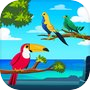 Icon of Birdy Sort Matching Puzzle