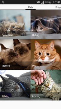 Cuplikan Layar Game Animals sounds