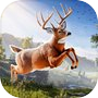 Wild Deer Hunt Adventure 아이콘