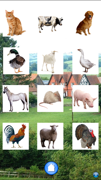 Sounds of Farm Animals Game Screenshot