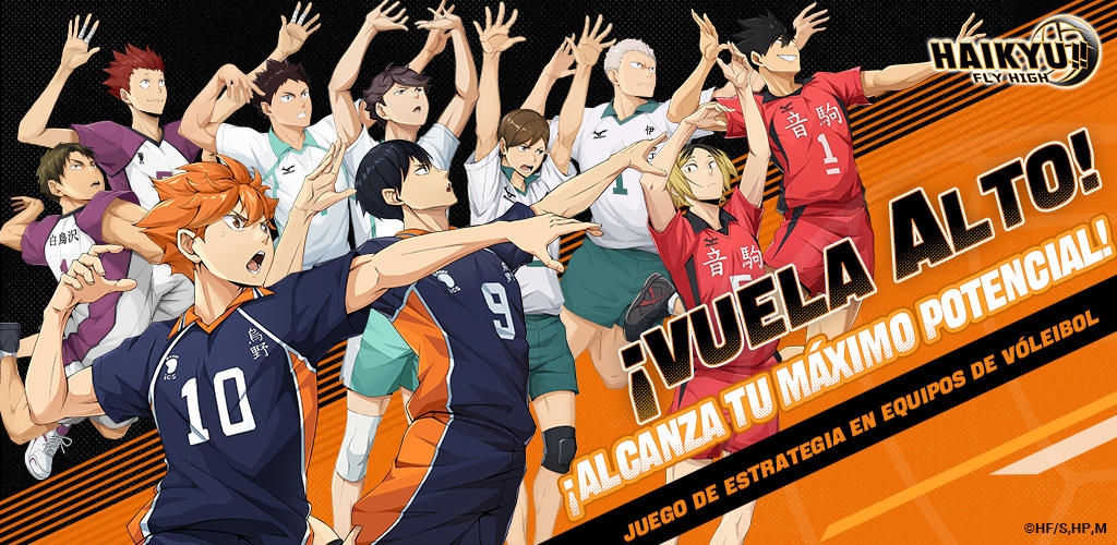 Banner of HAIKYU!! FLY HIGH 