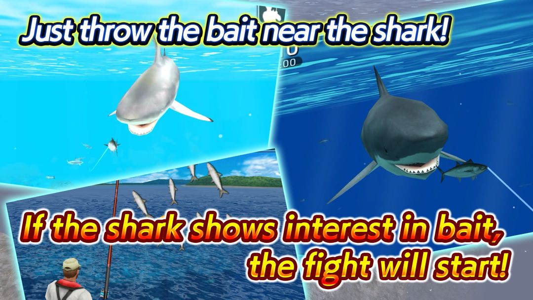 Wild Shark Fishing 게임 스크린 샷