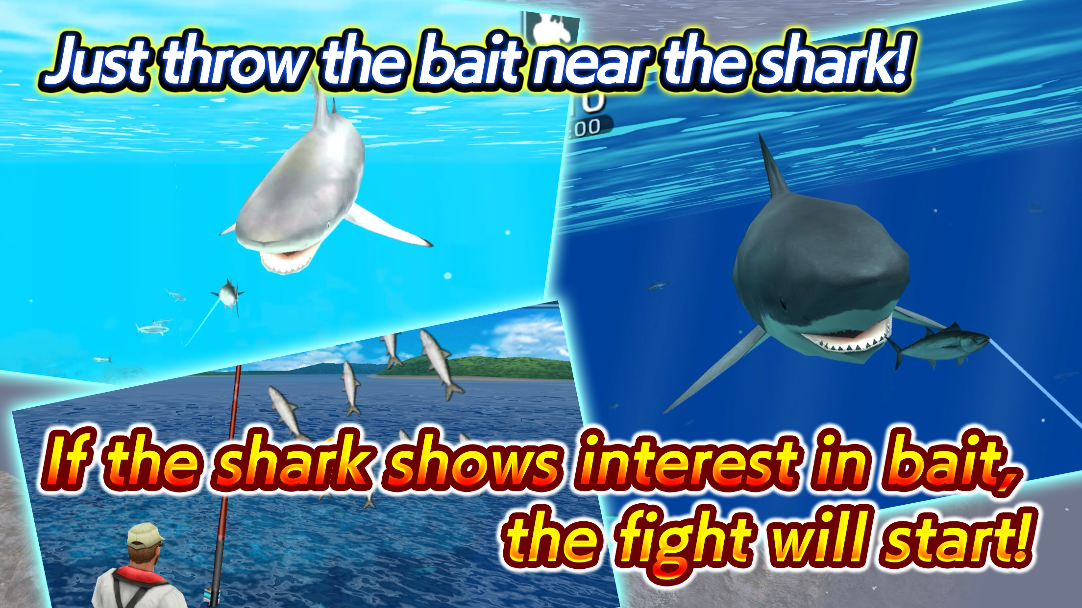 Wild Shark Fishing Game Screenshot
