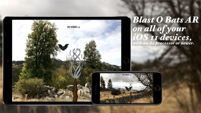 Blast O Bats AR Game Screenshot