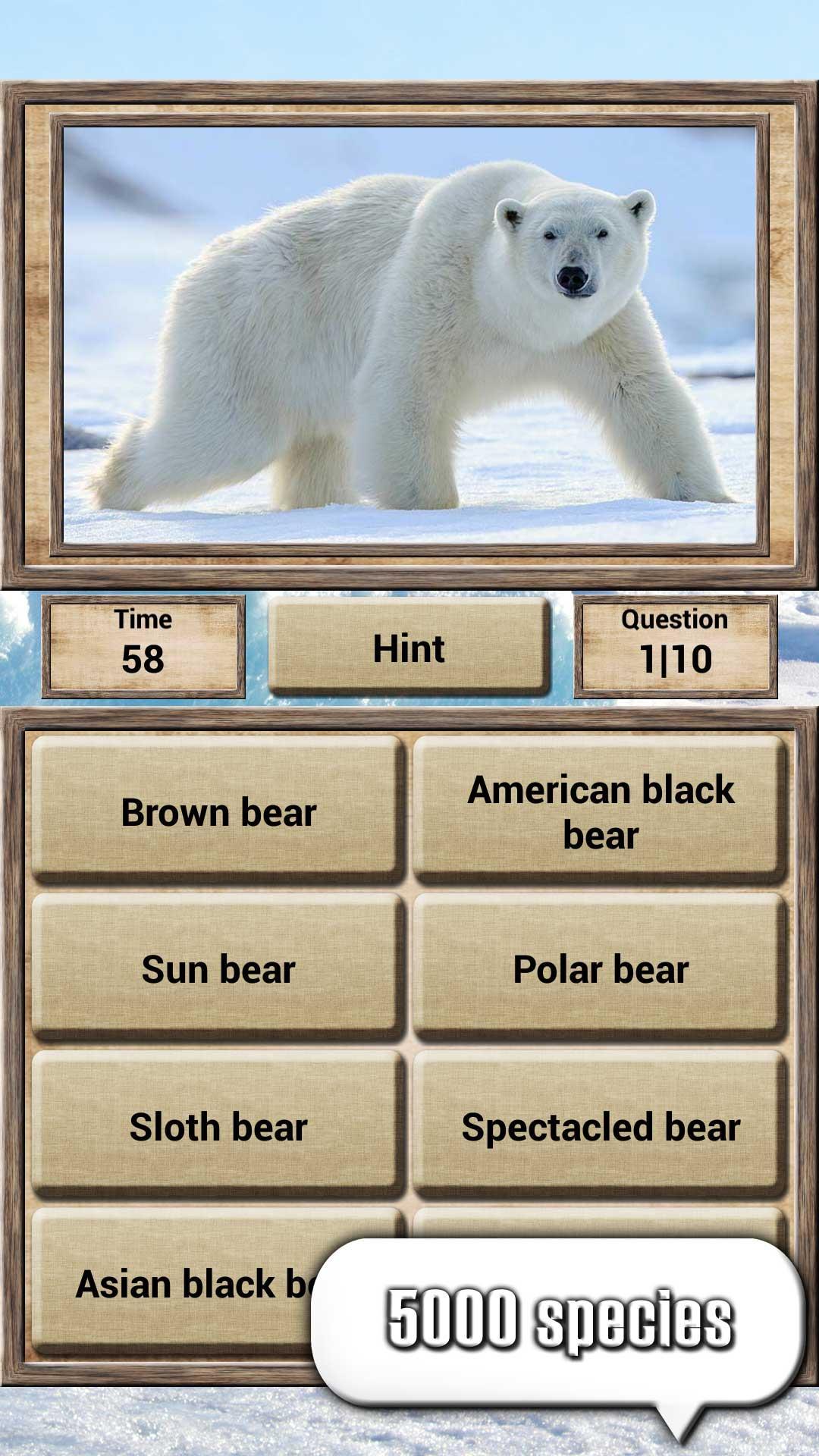 Скриншот игры Animal Kingdom - Quiz Game