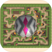 Tricky Maze Roller