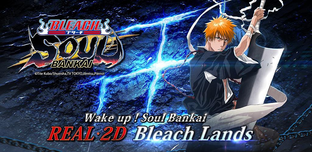 Banner of BLEACH: Soul Bankai 