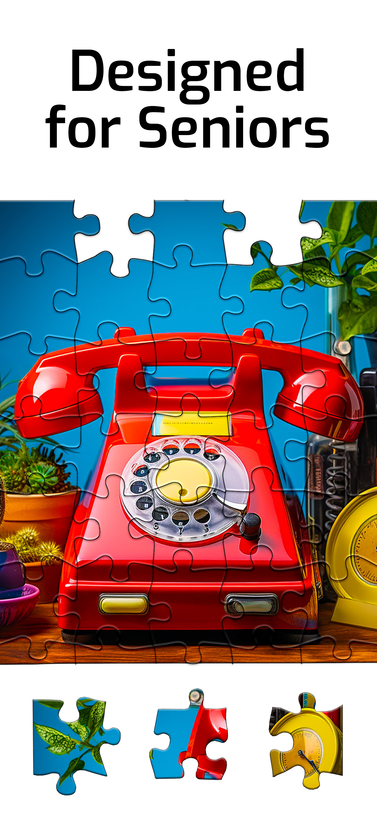 Puzzles for Seniors Game Screenshot