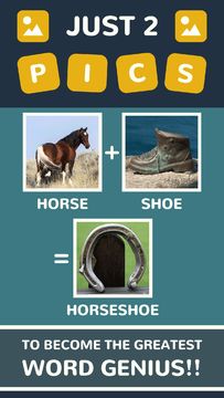 Just 2 Pics Game Screenshot