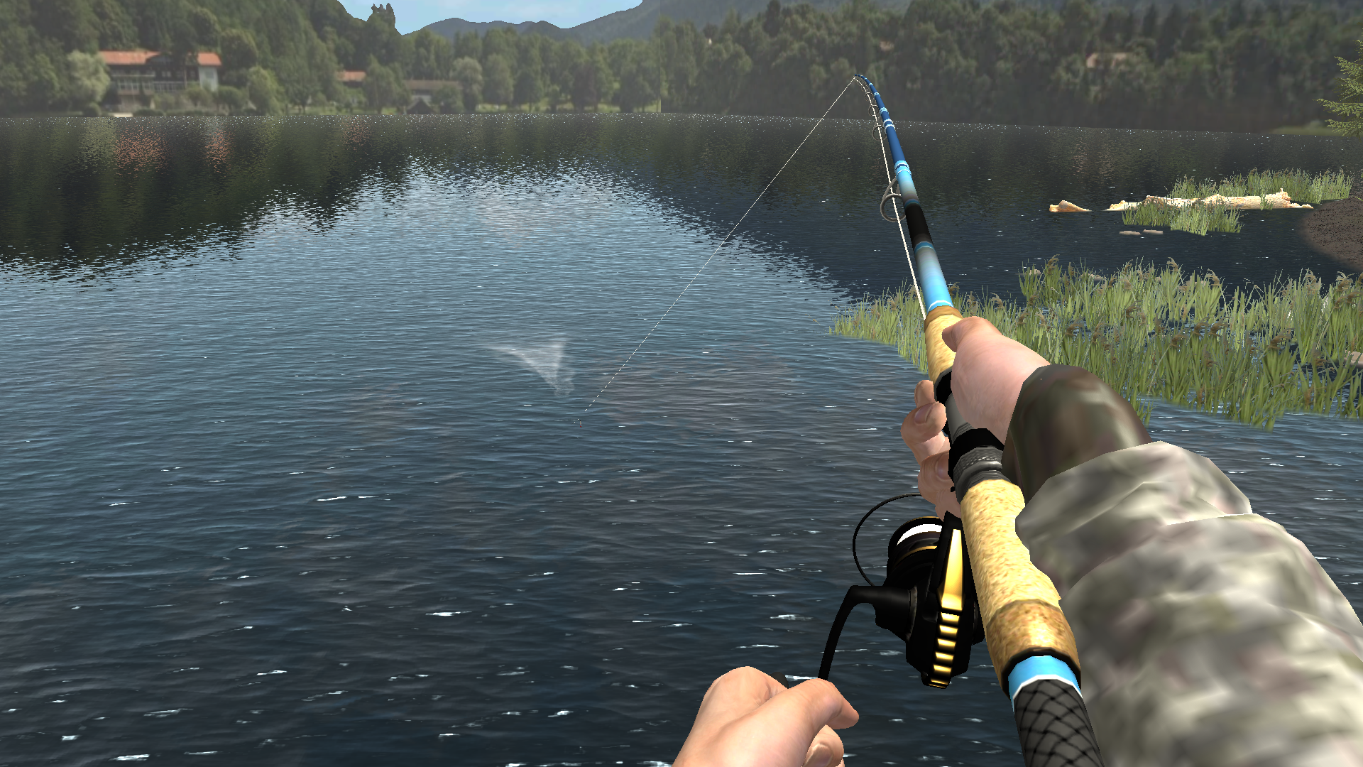 Cuplikan Layar Game Professional Fishing 2