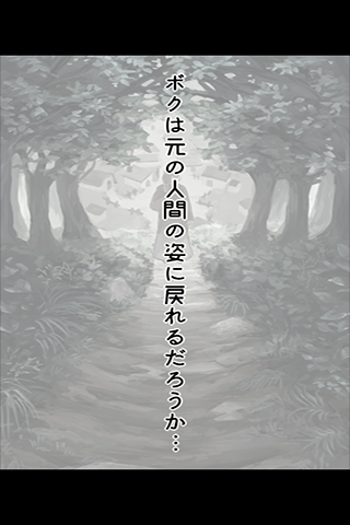 脱出ゲーム ケモノの実 Game Screenshot