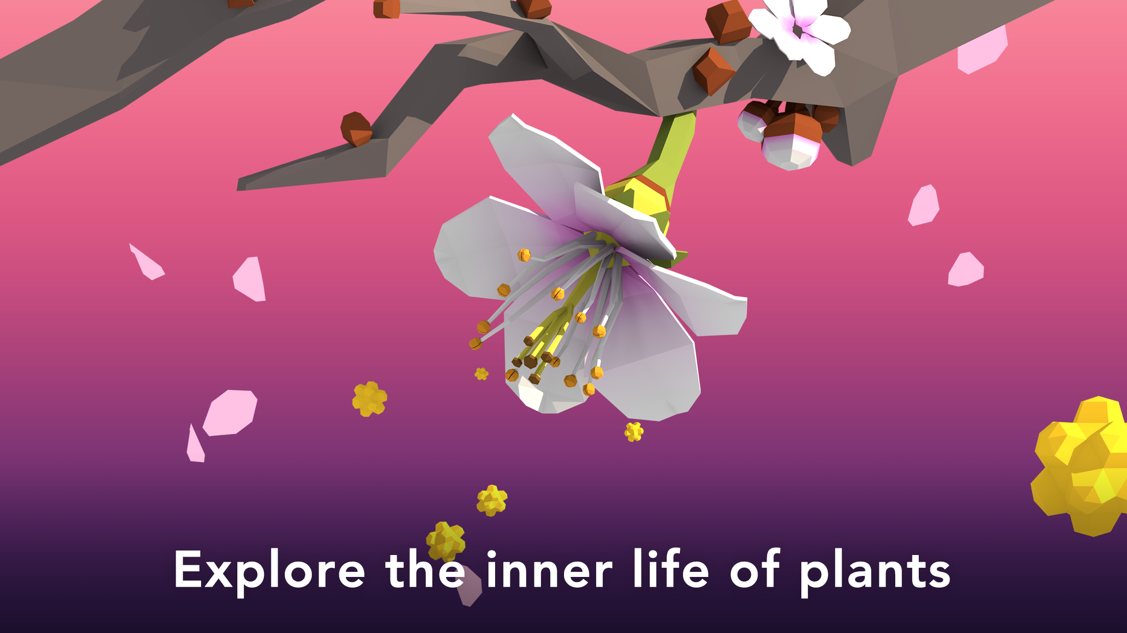 NAMOO - Wonders of Plant Life ภาพหน้าจอเกม