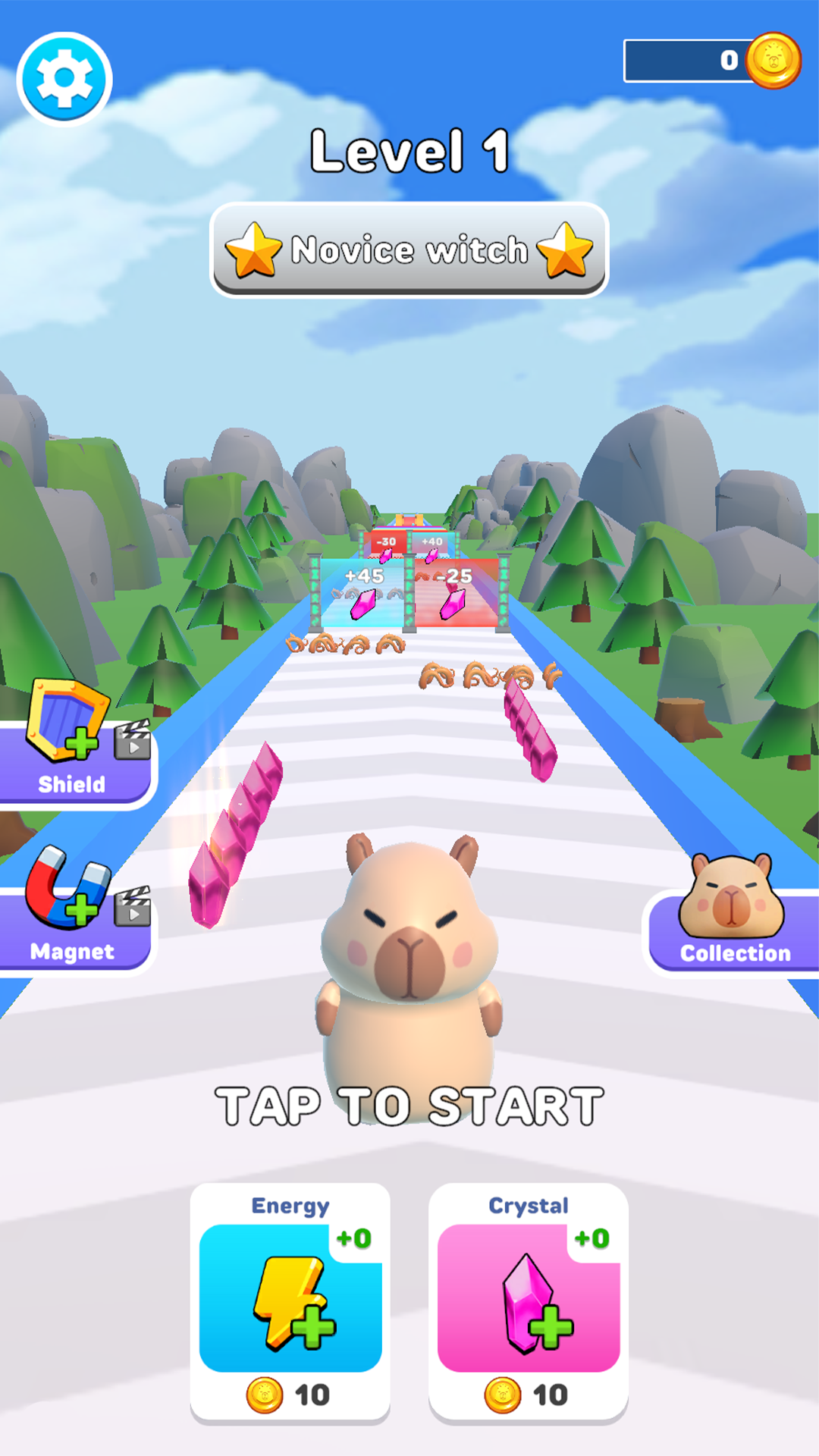 Witchy Capybara: Runner Game Game Screenshot