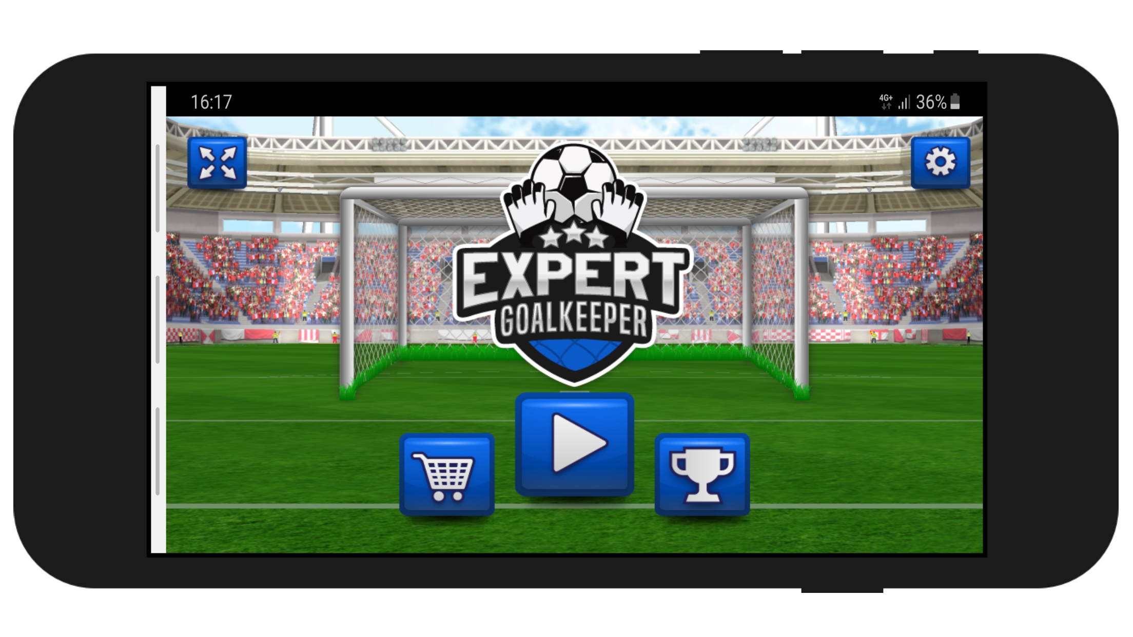 Скриншот игры Expert Goalkeeper game