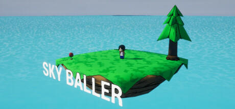 Banner of Sky Baller 