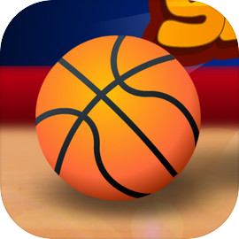 Head Sports Basketball