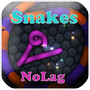 FastSnake IO