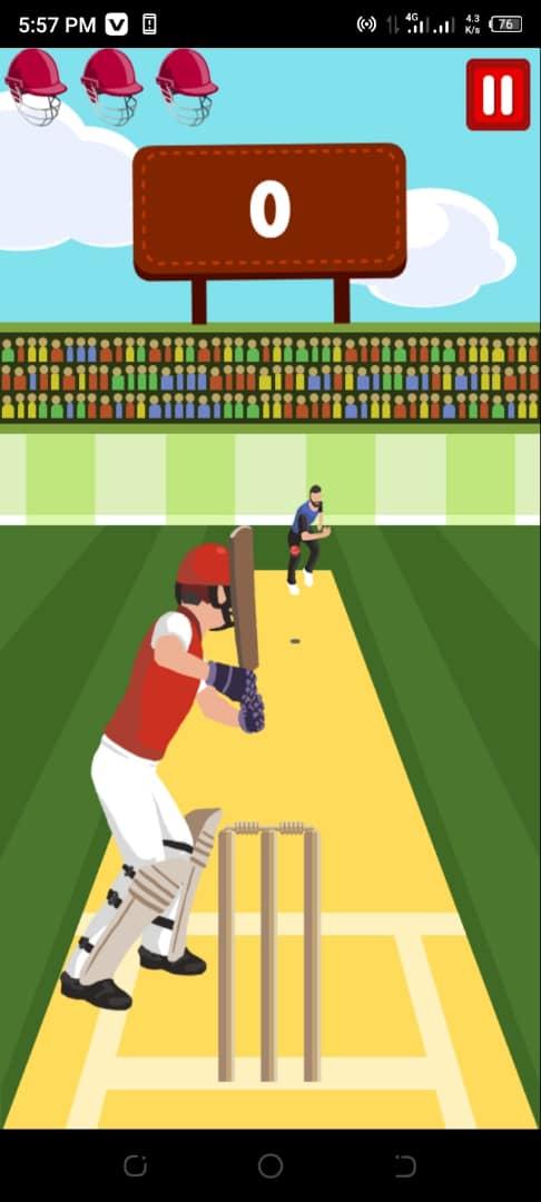 Pro Cricket Champion Game Screenshot