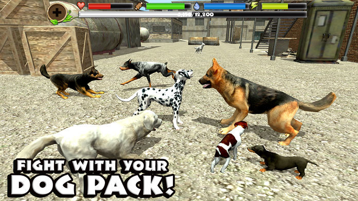 Stray Dog Simulator遊戲截圖