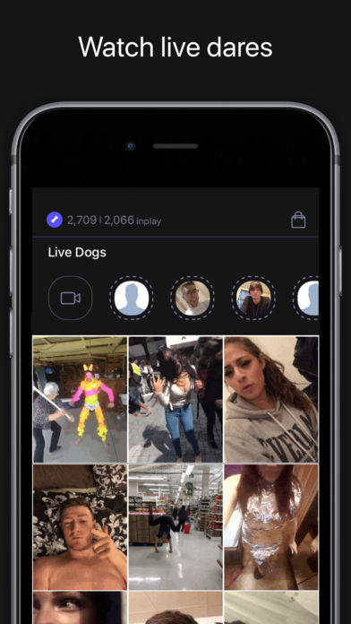 Double Dog Nerve Truth or Dare Game Screenshot