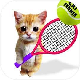 Meme Tennis Cat