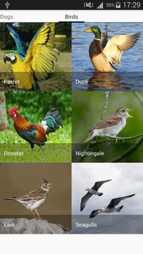 Cuplikan Layar Game Animals sounds