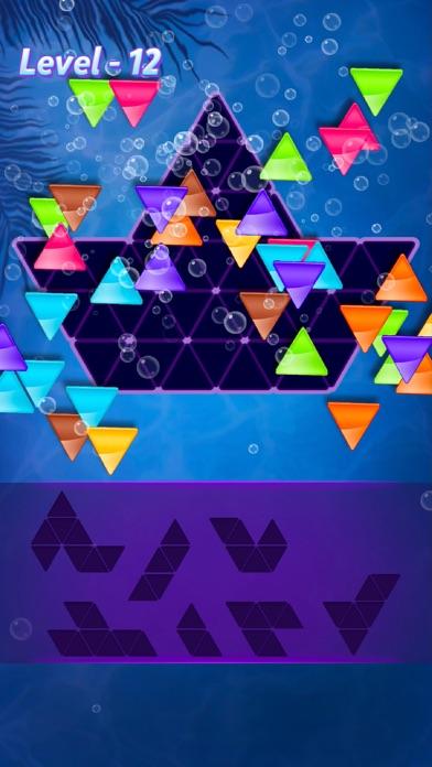 Block! Triangle puzzle:Tangram Game Screenshot