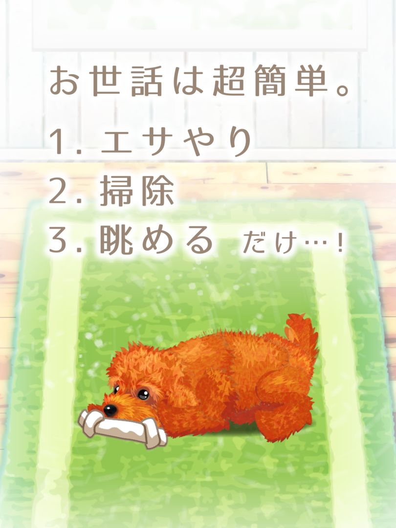 Screenshot of 癒しの子犬育成ゲーム〜トイプードル編〜