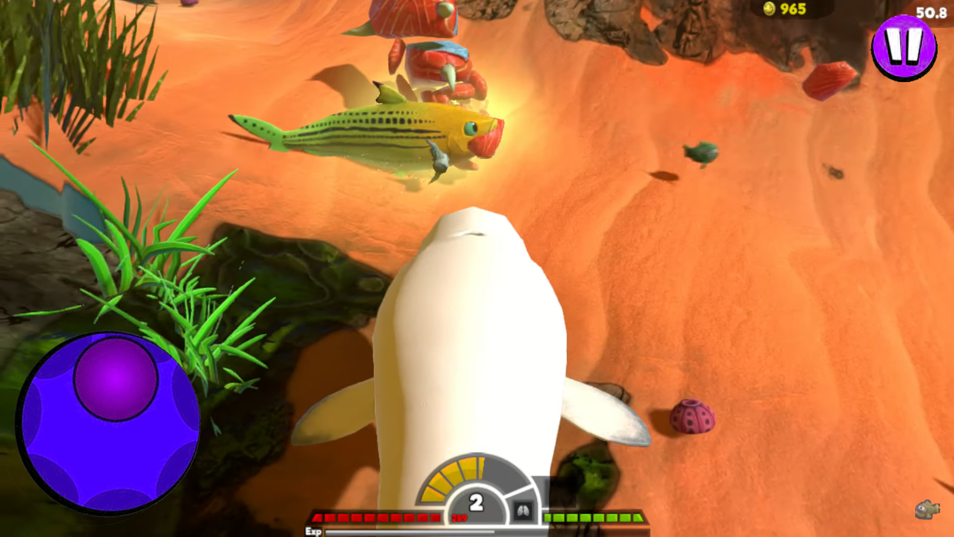 Feed and Grow Fish Shark Game Screenshot