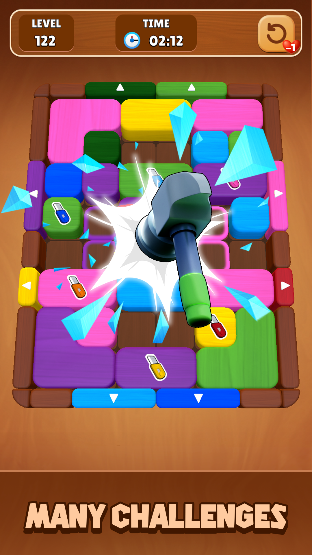 Wood Escape: Color Block Game Screenshot