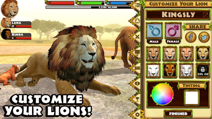 Ultimate Lion Simulator遊戲截圖
