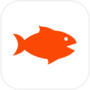 Up Fish (업피쉬)