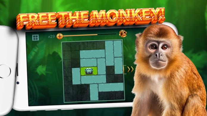 Macaco Game Jogo Educativo de Entretenimento Jogos e Desafios
