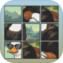 Icon of Benji Solitaire