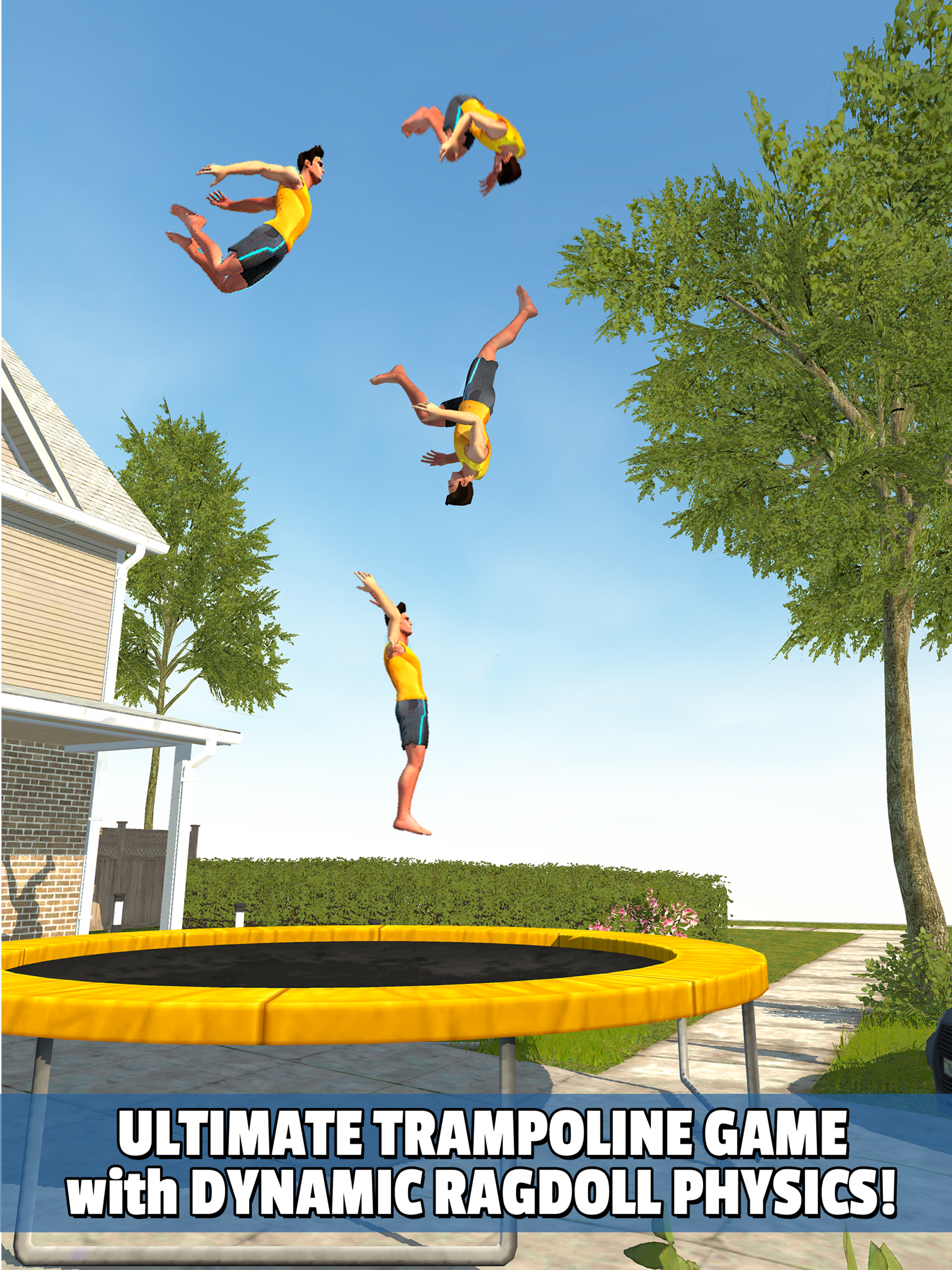Flip Master Game Screenshot