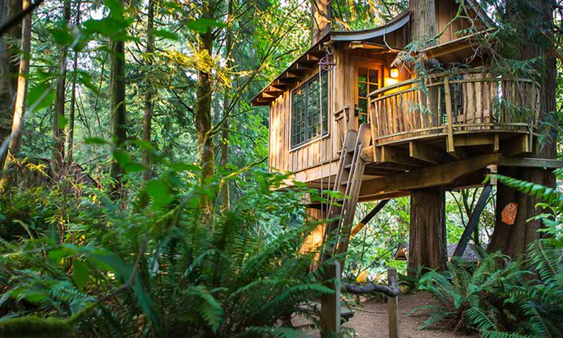 Mushroom Treehouse Escape ภาพหน้าจอเกม