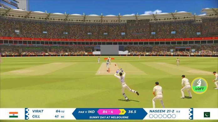 Real World Cricket Games 2024 screenshot game