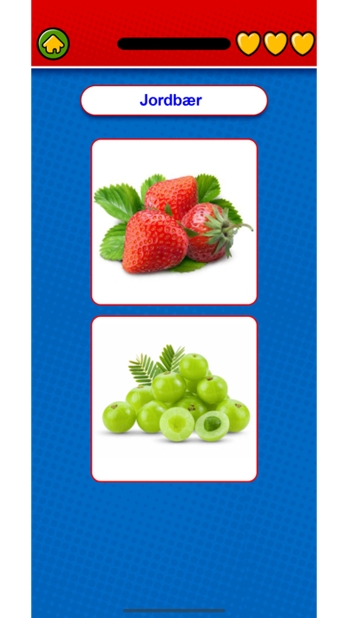 Learn Norwegian Flashcards Game Screenshot