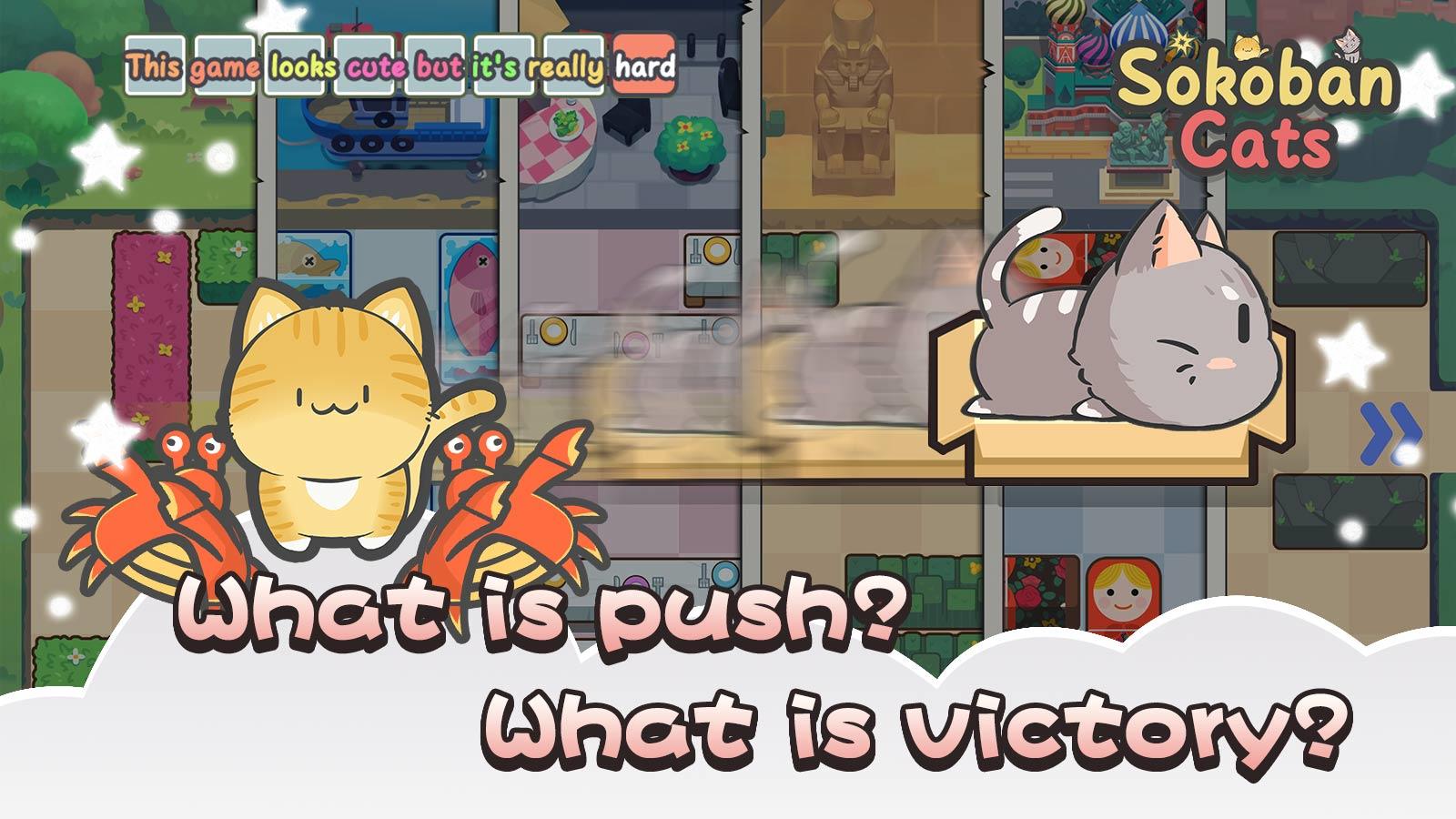 Sokoban Cats Game Screenshot