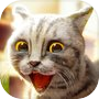 Icon of Cat Simulator: Family Animal