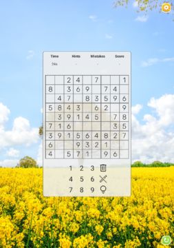 Sudoku Game Screenshot
