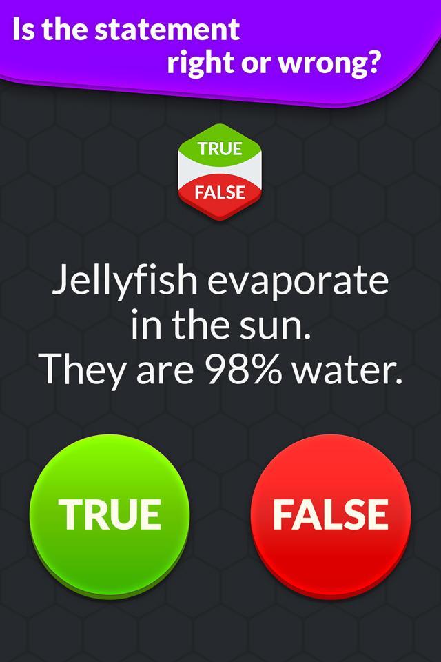 True or False: Quiz Battle 게임 스크린샷