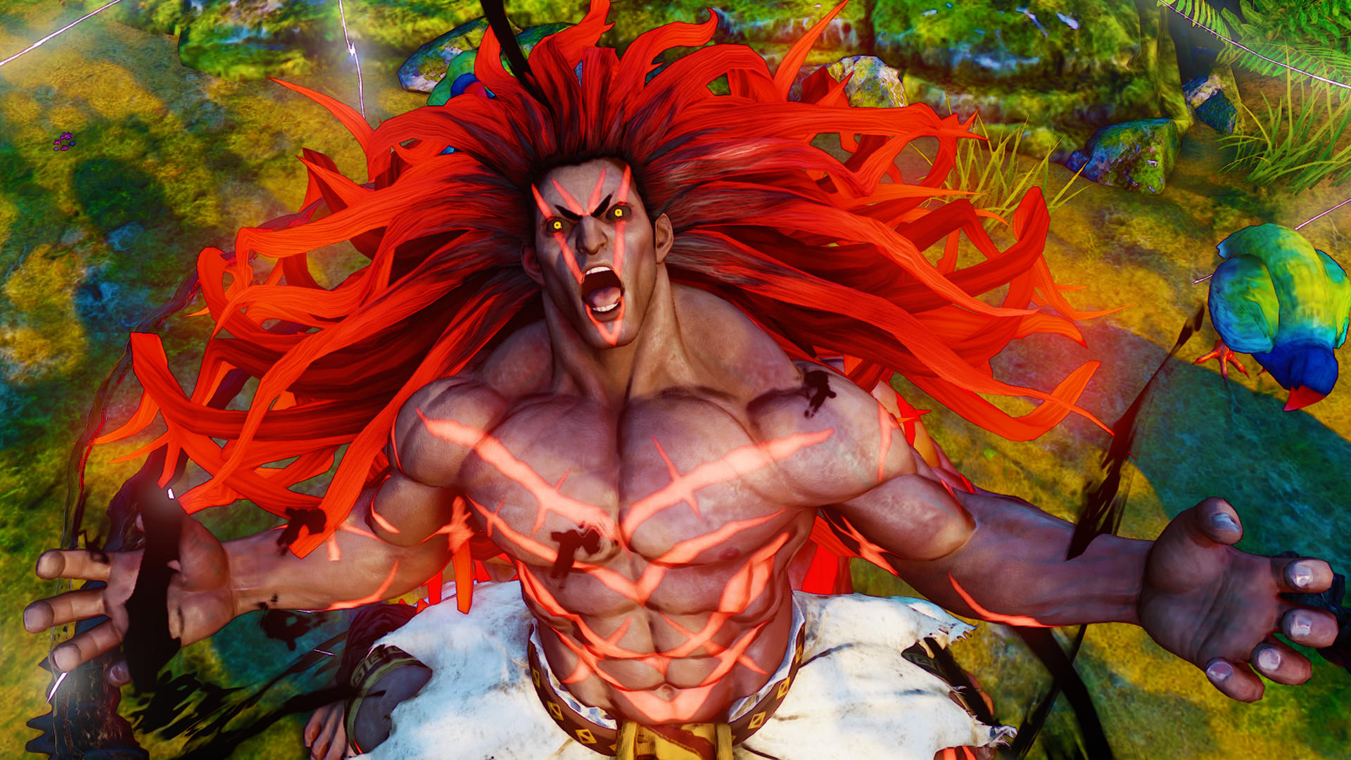 Screenshot of Street Fighter V